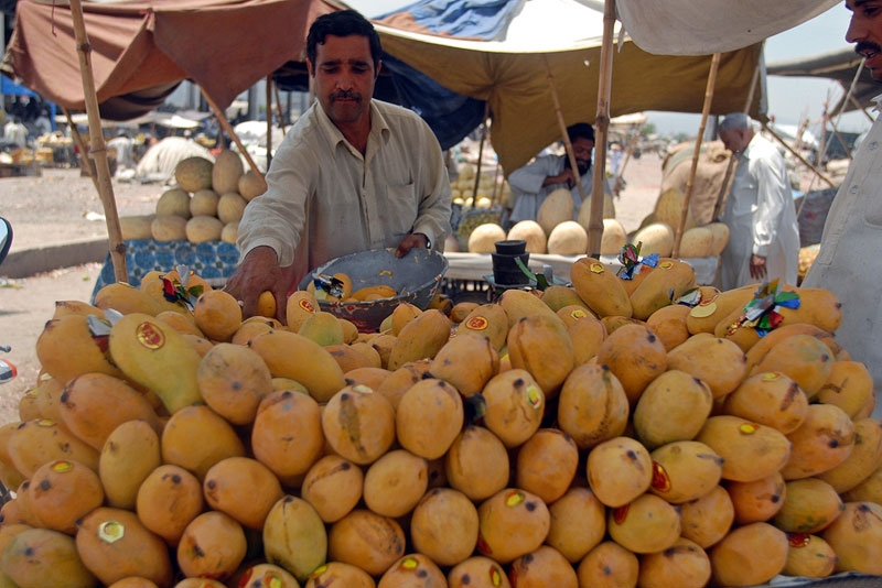A Pakistani fruit vendor sells mangoes in in Islamabad on July 4, 2009. Pakistan is the 5th-largest producer and 3rd-largest exporter of mangoes in the world. (Sajjad Qayyum/AFP/Getty Images)