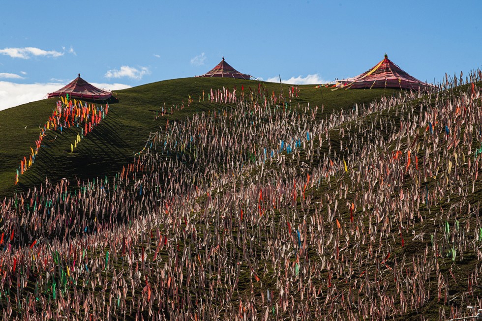 The hillside above the Segyagu Meditation Center is obscured by thousands of flags, which send prayers to the winds to disperse blessings throughout the land. (Michael Yamashita)