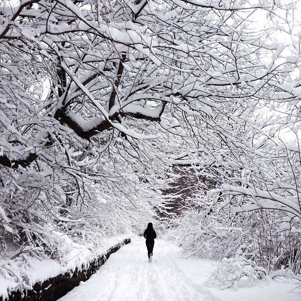 "During my almost-year of living in New York, I wished over and over again for total whiteout snow conditions in which to frolic and photograph. The snowfall from this storm was the closest we came and Prospect Park in Brooklyn was beautifully transformed." (Pei Ketron)