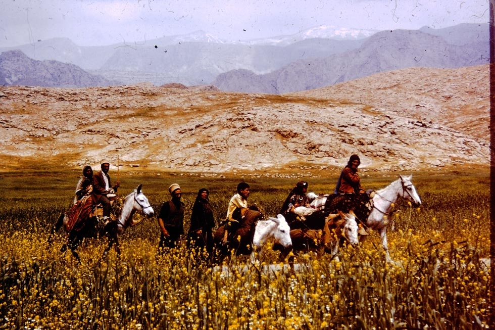 Nomads on the move with their entire household and their animals on a spring route.