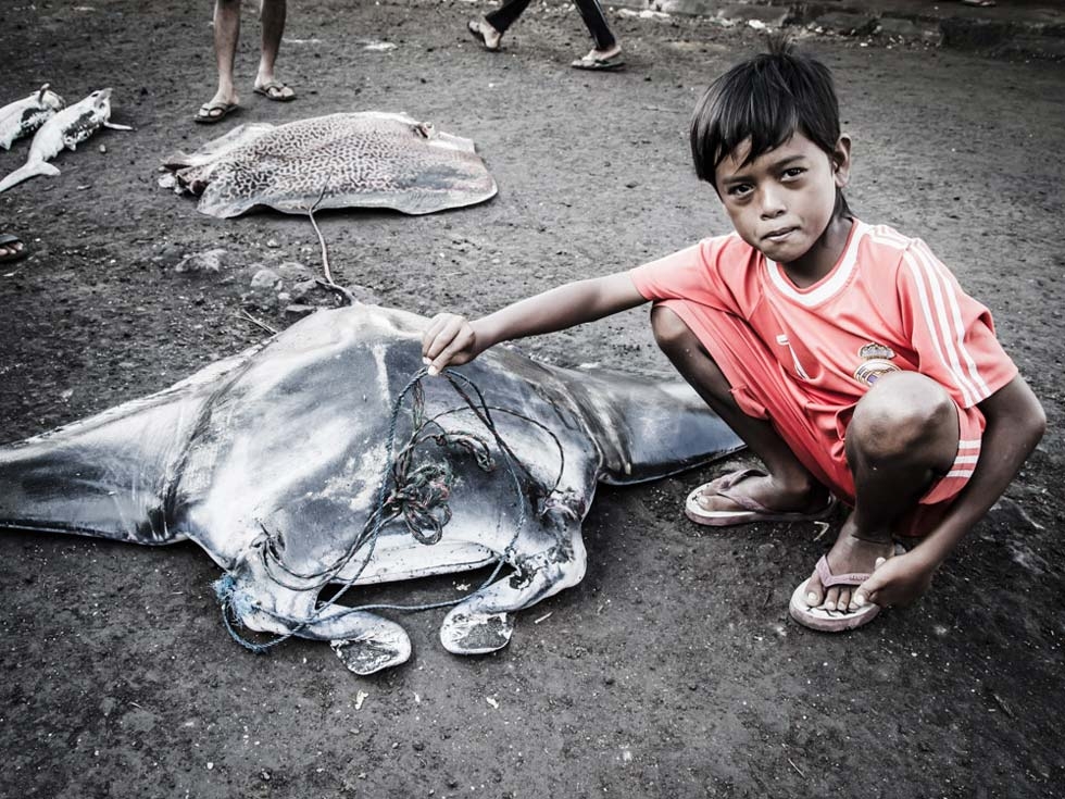 Young boy looks down sadly at dead baby reef manta ray. With many local populations depleted, fishermen have begun targeting even baby manta rays. (Shawn Heinrichs for WildAid/Conservation International)