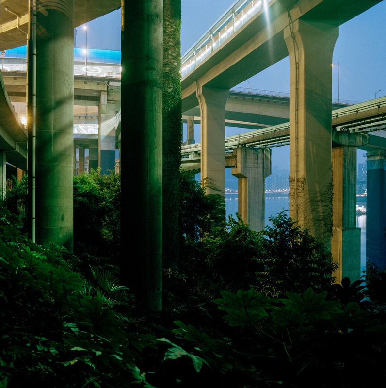 On the side of the Jialing river, under the Yu’ao bridge, the vegetation reaches upward in an apparent attempt to climb from the backfill and overtake the highway structure from below. (Tim Franco)
