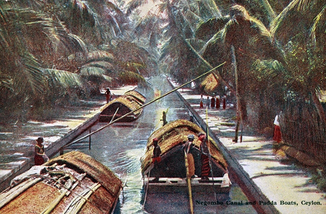 "Negombo Canal and padda boats, Ceylon." (A.W.A. Plâté & Co./New York Public Library)