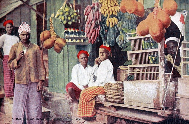 "A boutique or betel and fruit shop, Ceylon." (A.W.A. Plâté & Co./New York Public Library)