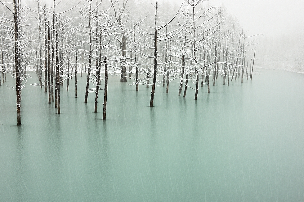 "Green Pond and First Snow" is, unbelievably, a picture of the same pond and was an editor's choice in the 2012 National Geographic Photo Contest. (Kent Shiraishi)