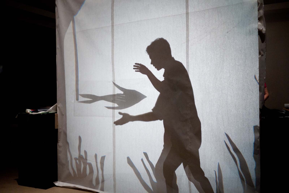 Shadow Puppetry
