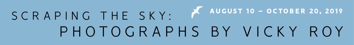 Scraping the Sky: Photographs by Vicky Roy web banner