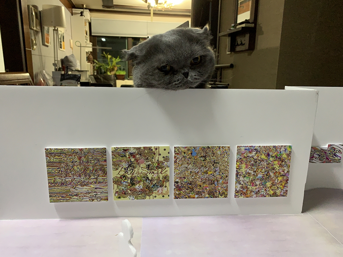 A cat peers over a series of artworks in a photography by Kyungah Ham 