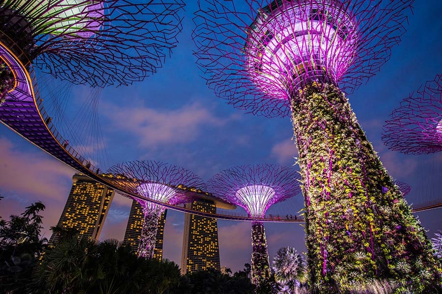 Disruptive Asia Launch - Singapore Supertrees - AdobeStock_95384140