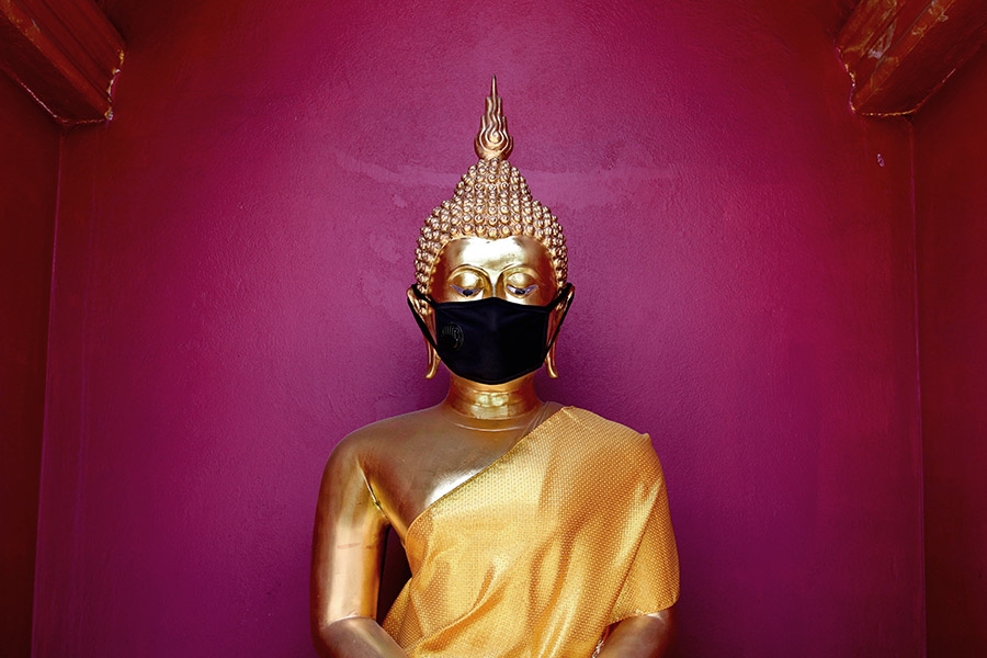 EB Year in Review - Buddha Statue with Facemask