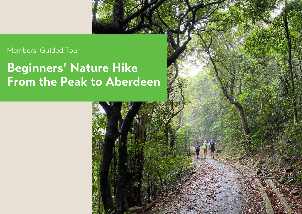Beginners’ Nature Hike – From the Peak