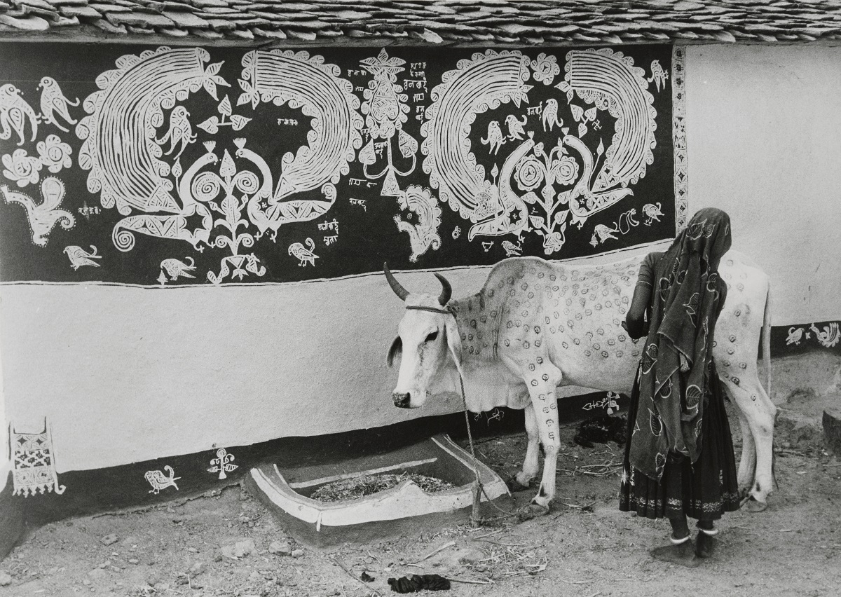 A Meena (tribal) woman decorating the bullock for 'Gordhan' festival 