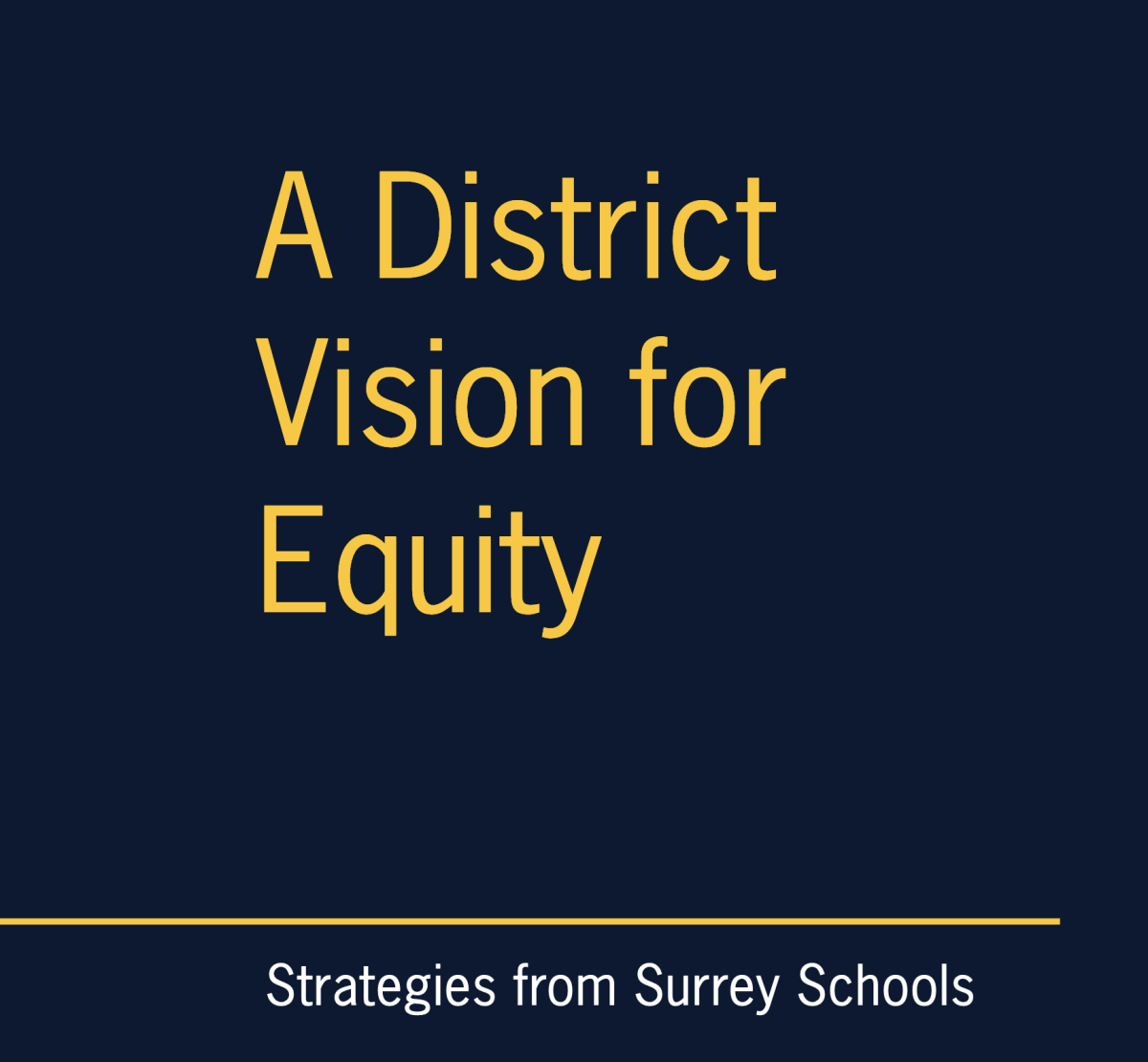 A District Vision for Equity Surrey Report Cover