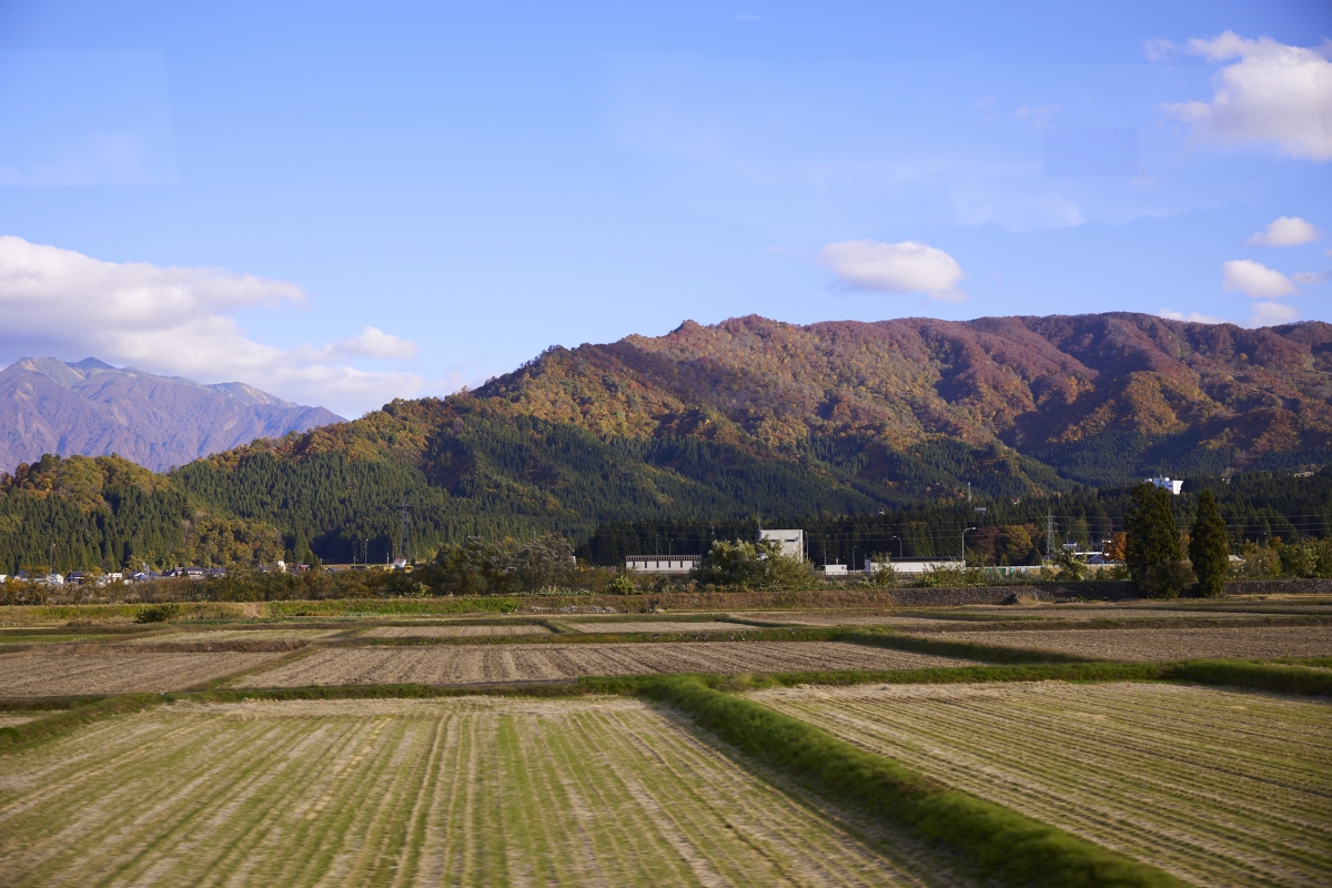View of satoyama