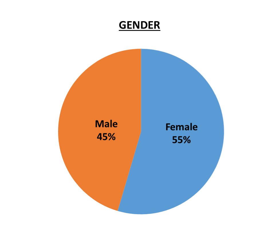 501(c)(3) Staff Gender 45% Male, 55% Female