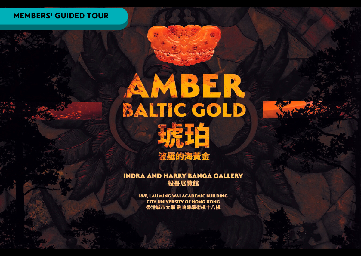 Image_Members’ Guided Tour Amber: Baltic Gold