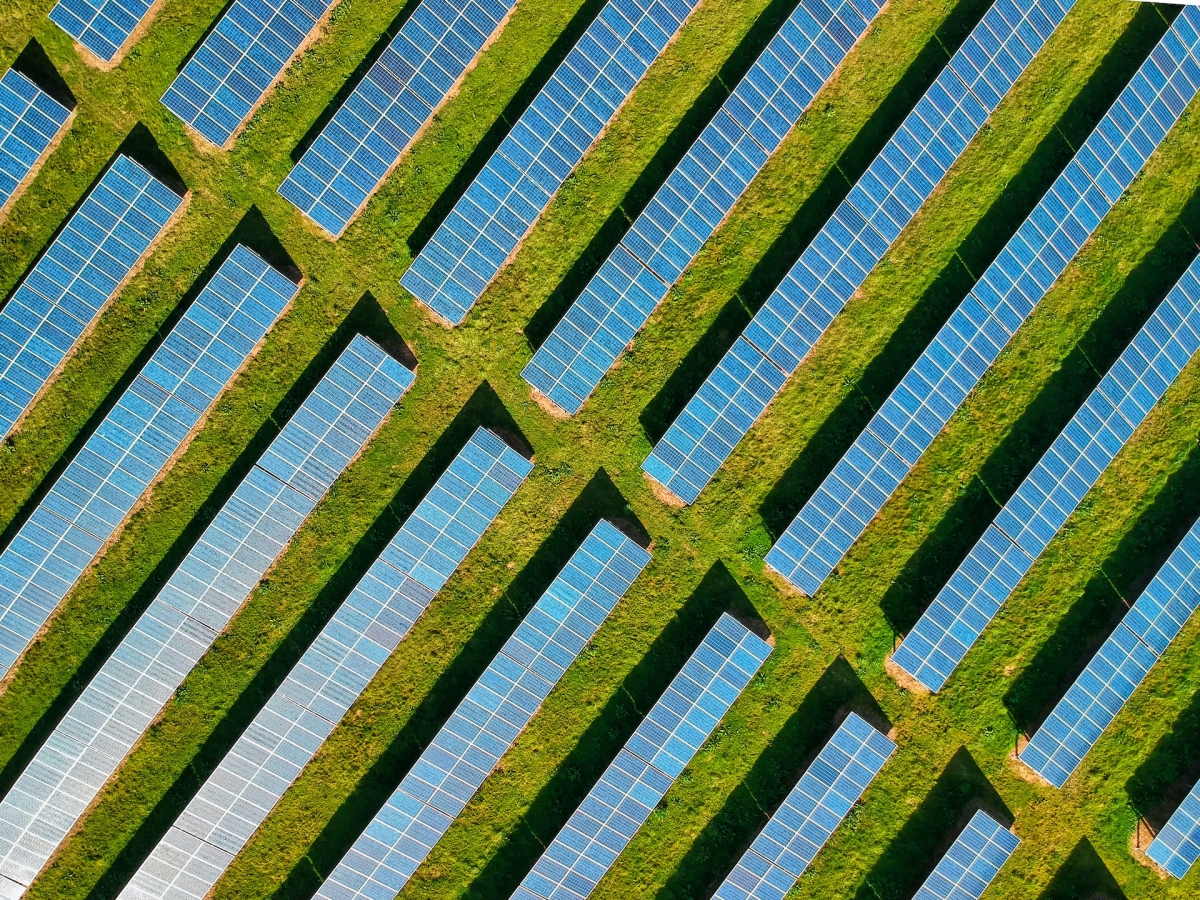 Solar Panels on a Green Field - Pexels - Red Zeppelin