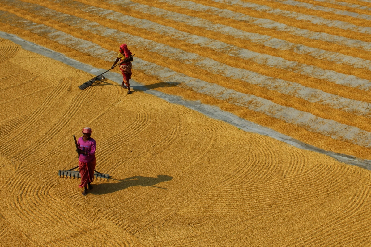 india crop field-pexels-dibakar roy