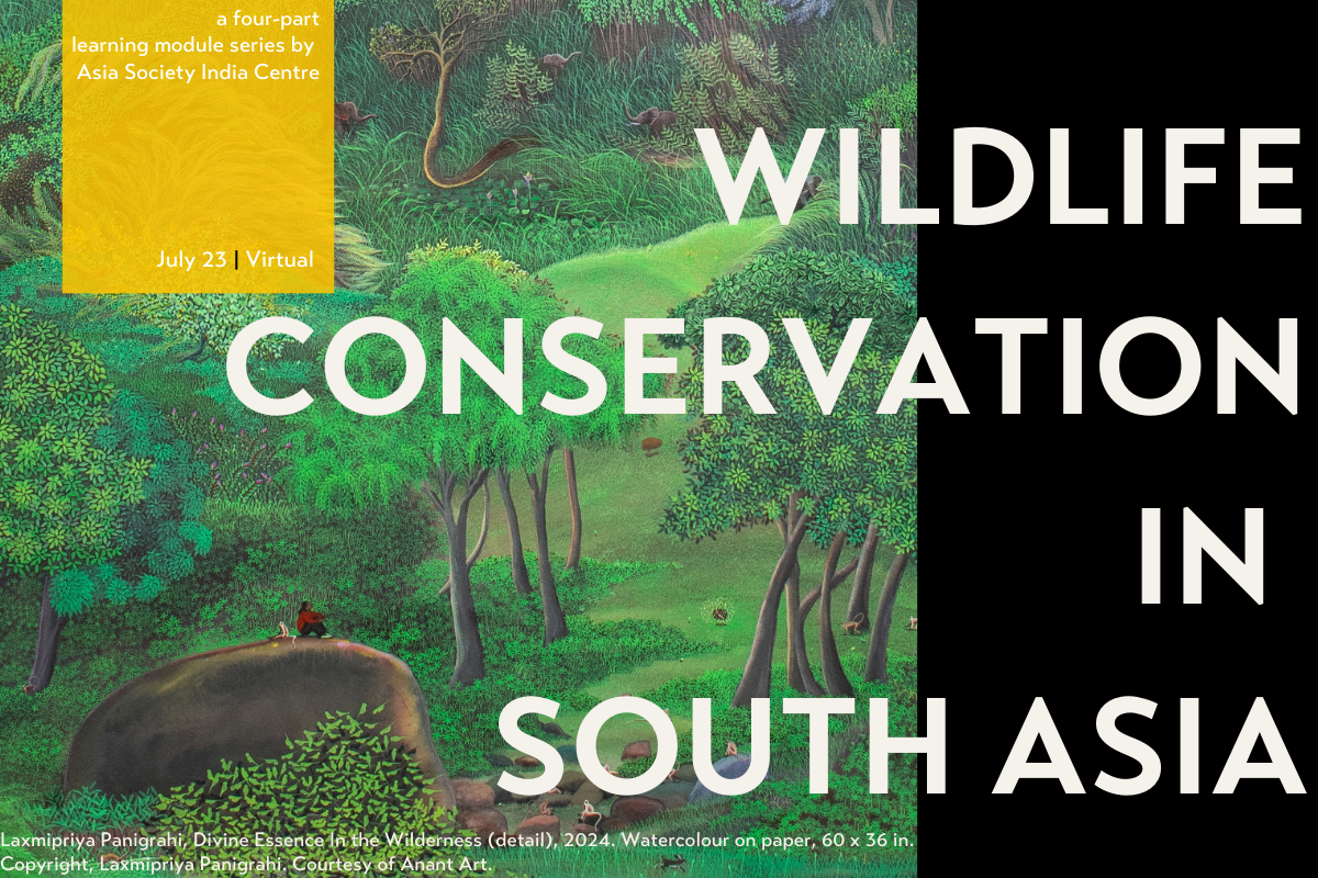 Wildlife Conservation in South Asia