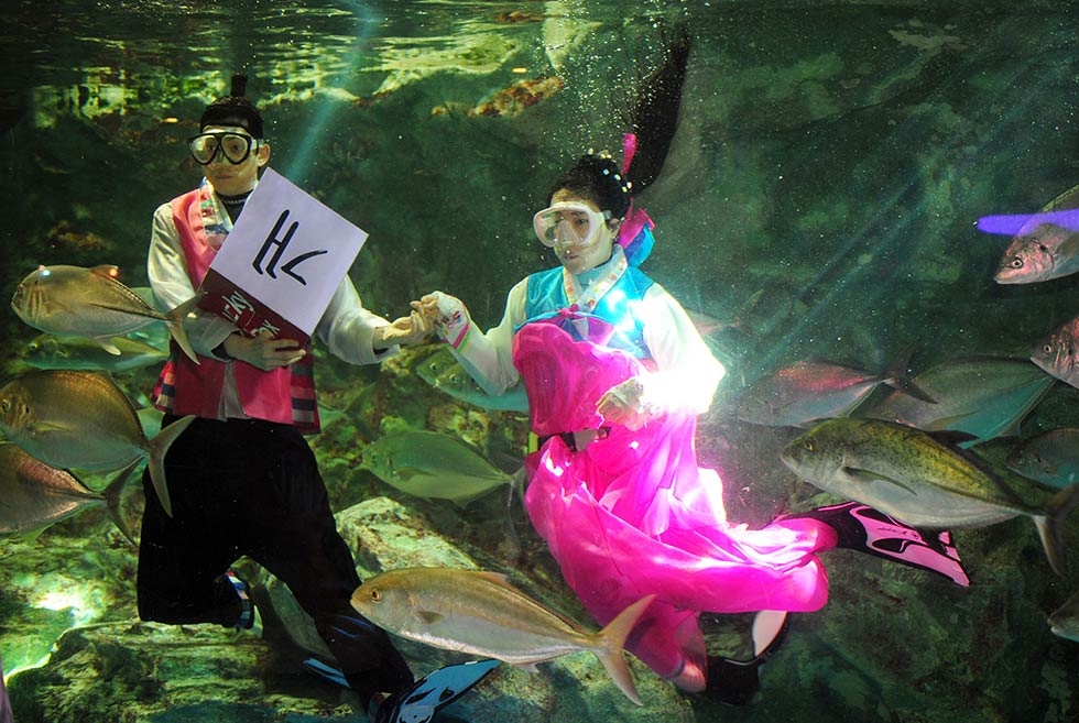 Divers wearing the traditional "hanbok" usher in the Lunar New Year among fishes at an aquarium on January 26, 2014 in Seoul, South Korea. (Jung Yeon-Je/AFP/Getty Images)