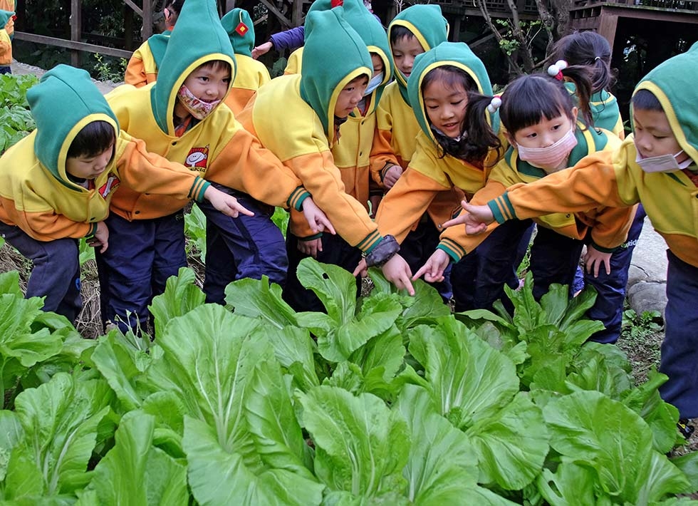 Children learn how to make traditional pickled vegetables during a Hakka Lunar New Year celebration on January 21, 2014 in Taipei, Taiwan. (Sam Yeh/AFP/Getty Images)