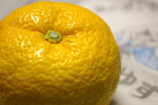 Yuzu fruit (Photo by alde/flickr)