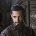 Bodhi Rook