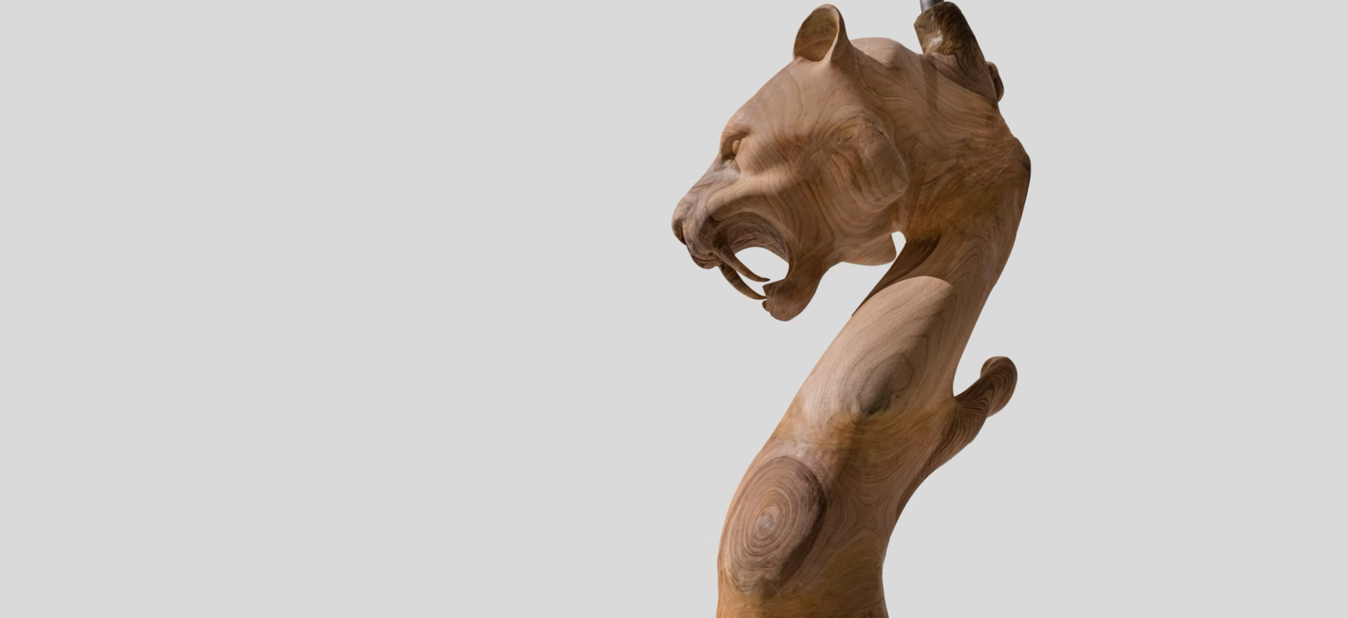 Sculpture False Sense of Self  2024, 95 x 70 x 190cm  Camphor wood, aluminum by Maggie Menghan Chen
