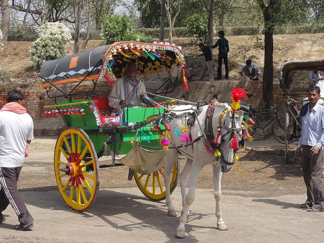 horse carts