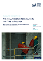 Viet Nam Now Operating on the Ground cover thumb