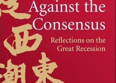 Against the Consensus: Reflections on the Great Recession