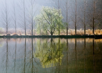 A line of trees and moored boats are reflected in a pool of water in China on March 13, 2014. (vic xia/Flickr)