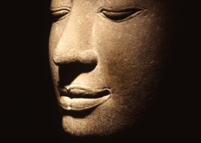 Head of the Buddha, Ayutthaya, Thailand.