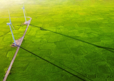Hamblin Wang - Wind turbines in rice field - Vietnam - AdobeStock