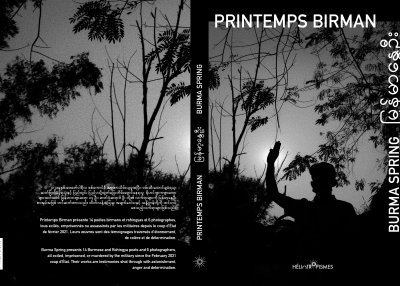 Printemps Birman Book Cover