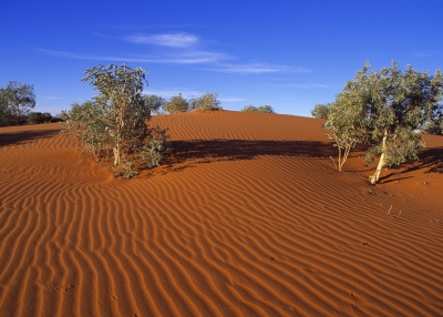 Desert