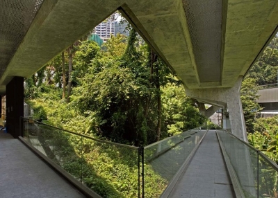 Fruit Bats Bridge, Asia Society Hong Kong Center