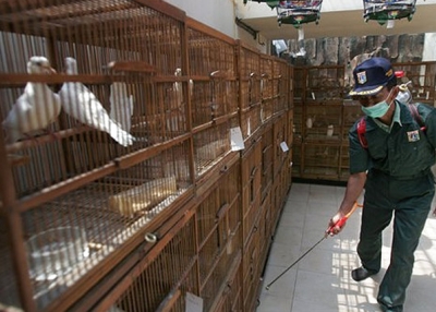 An Agriculture Ministry worker sprays disinfectant at cages at a bird farm in Jakarta, Indonesia, Monday, Sept. 26, 2005. (quiplash/flickr)