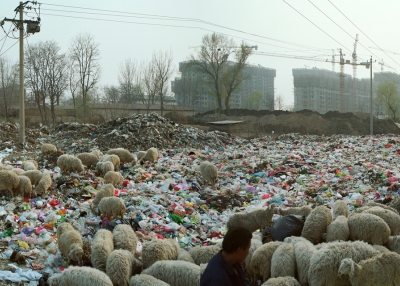 Beijing Besieged by Waste (2011). (dGenerate Films)