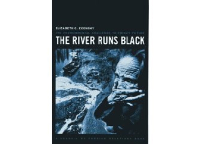 The River Runs Black: The Environmental Challenge To China's Future by Elizabeth Economy.