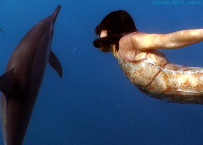 'Together: Dancing with Spinner Dolphins.' (Dolphin Dance Project)