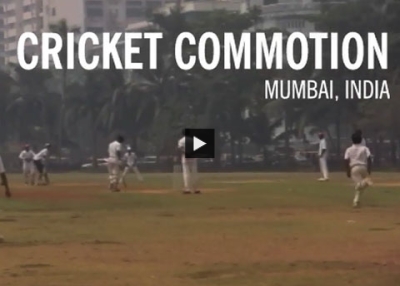 Cricket Commotion 