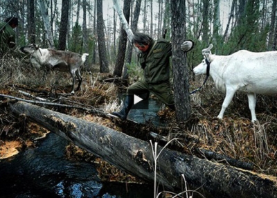 Documentary Q & A: 'The Last Moose of Aoluguya' (Complete)