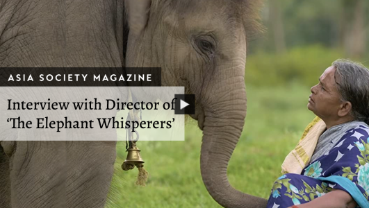 Elephant Whisperers YT Thumb