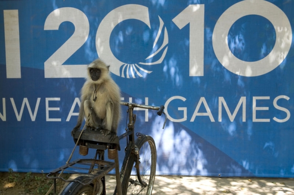 An Indian Langur monkey sits on his handlers cycle parked in front of a Commonwealth Games banner outside The Dhyan Chand National Stadium in New Delhi on September 29, 2010. (Manpreet Romana/AFP/Getty Images) 