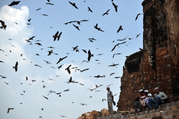 Indian Muslims take a break as birds fly around Firoz Shah Kotla Masjid after prayers on the first Friday of Ramadan in New Delhi on August 13, 2010. (Pedro Ugarte/AFP/Getty Images)
