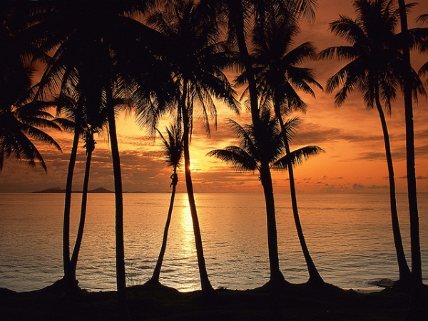The sun sets behind a row of palm trees in Micronesia on September 17, 2012. (myheimu/Flickr)