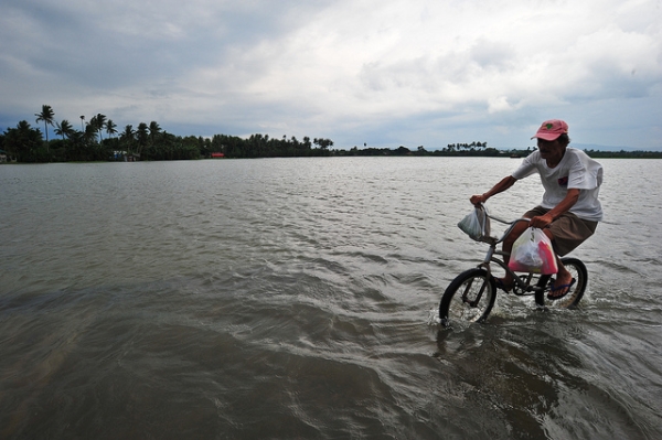 A man bikes through a flooded field in Laguna, Philippines on August 10, 2012. (IRRI Images/Flickr)