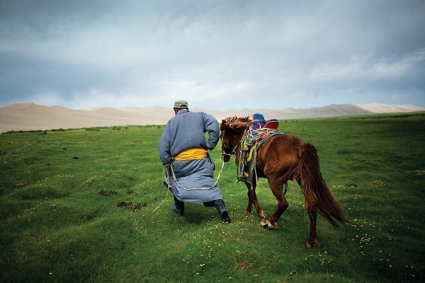 A herder leads his horse home from a watering hole in a Gobi Desert oasis. (Taylor Weidman)