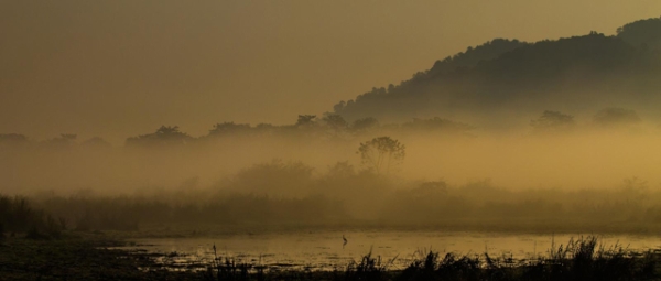 Scenic Kaziranga shrouded in mist in Assam, India on March 5, 2013. (Roon Bhuyan)